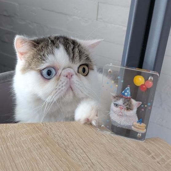 誕生日マグネット