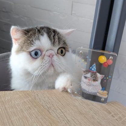 誕生日マグネット